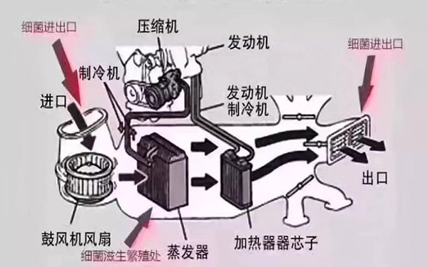 为什么换了空调格汽车空调还是有异味? 为什么换了空调格汽车空调还是有异味?